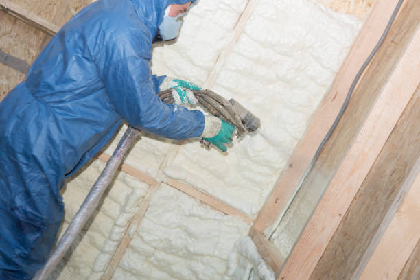 Types of Insulation We Offer in Maben, MS